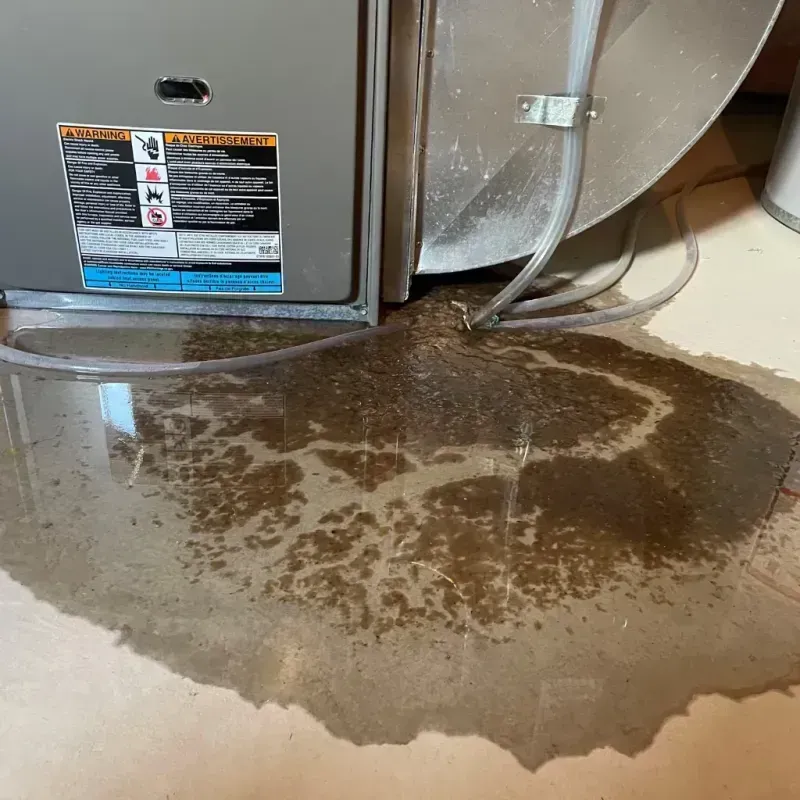 Appliance Leak Cleanup in Franklin, WI